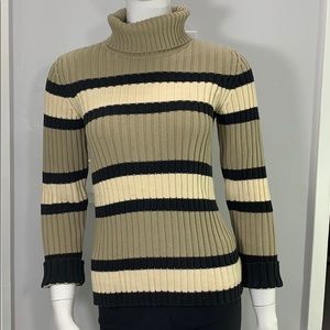 Ann Taylor Striped Turtleneck Sweater